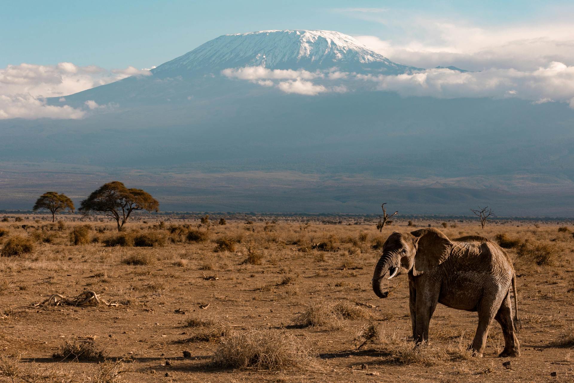 Avventura safari ad Amboseli con Kibo