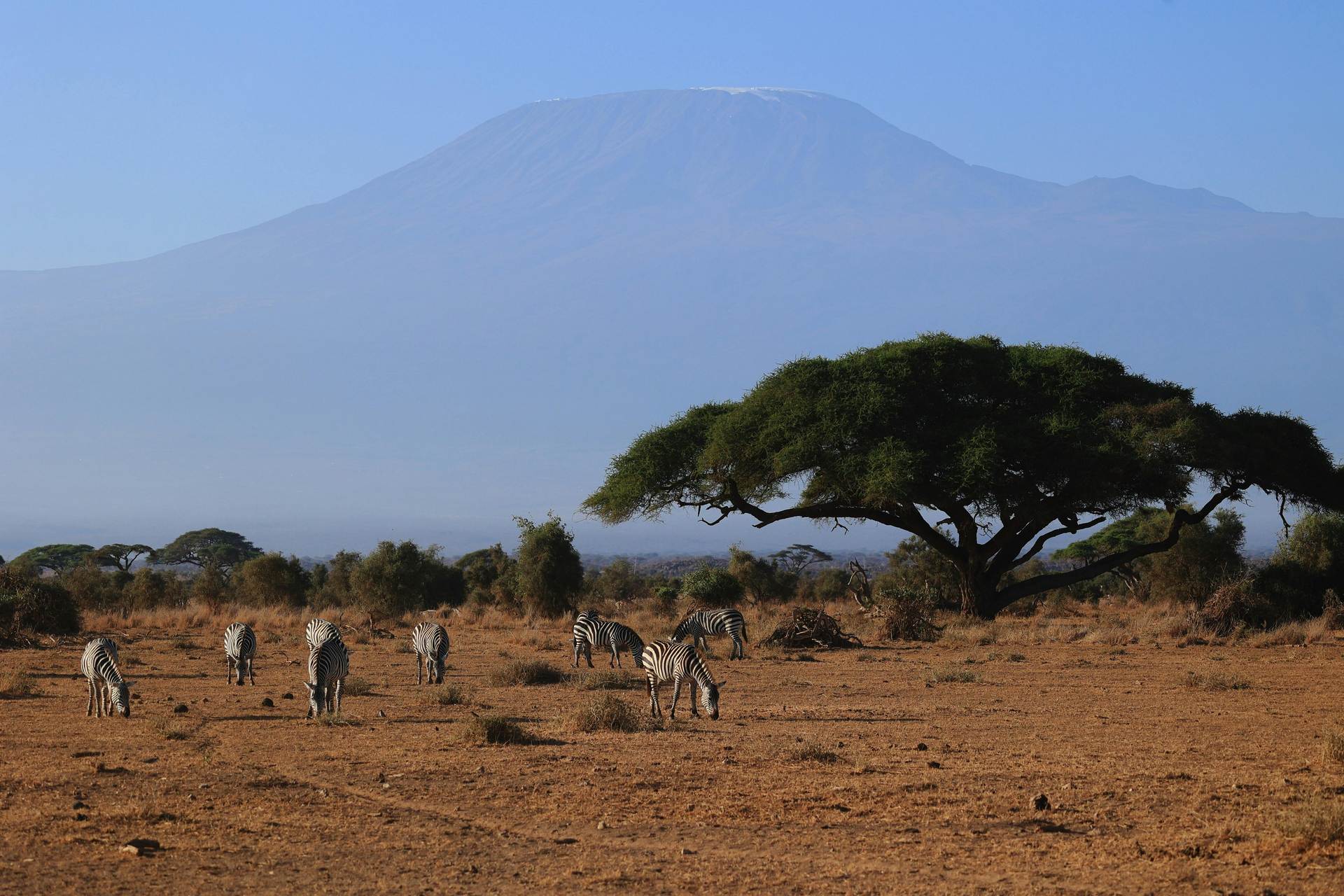 Paesaggi spettacolari di Amboseli con il Monte Kilimanjaro
