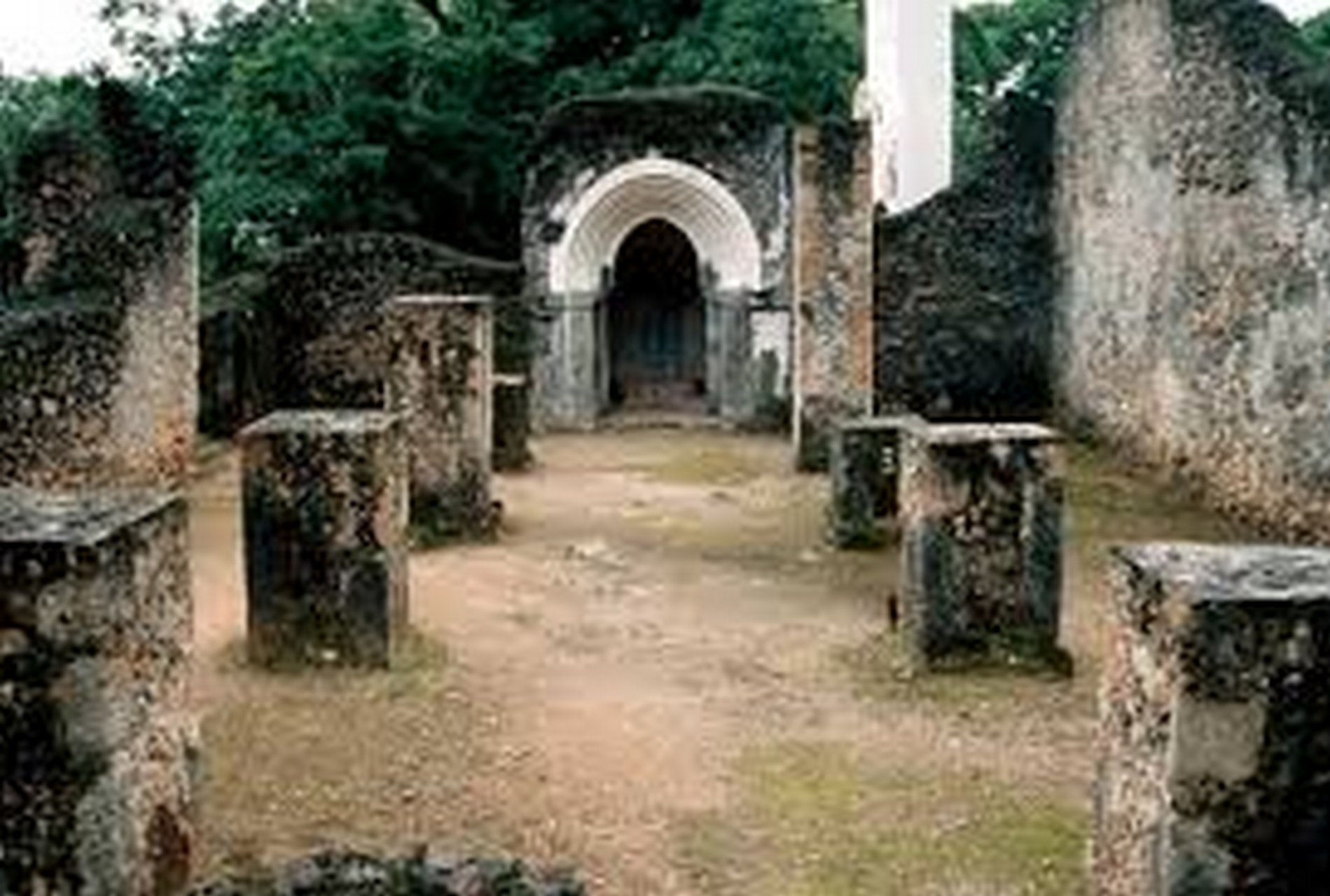 Fauna marina del Parco Marino di Watamu