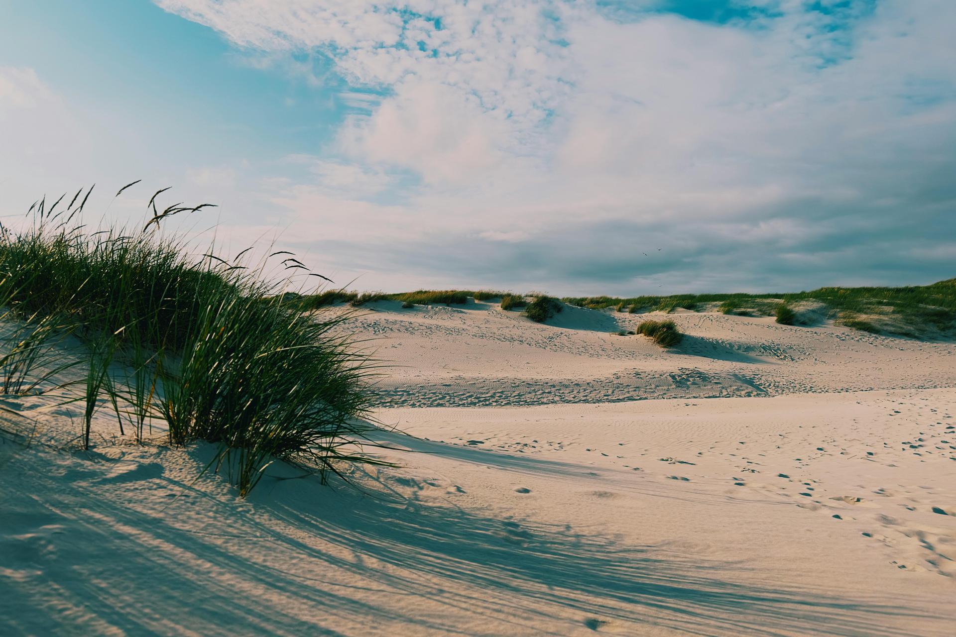 Fauna marina del Parco Marino di Watamu