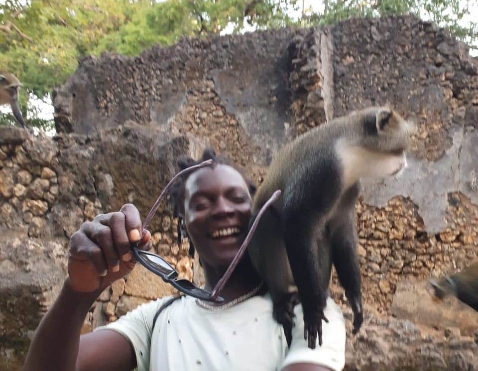 Fauna marina del Parco Marino di Watamu